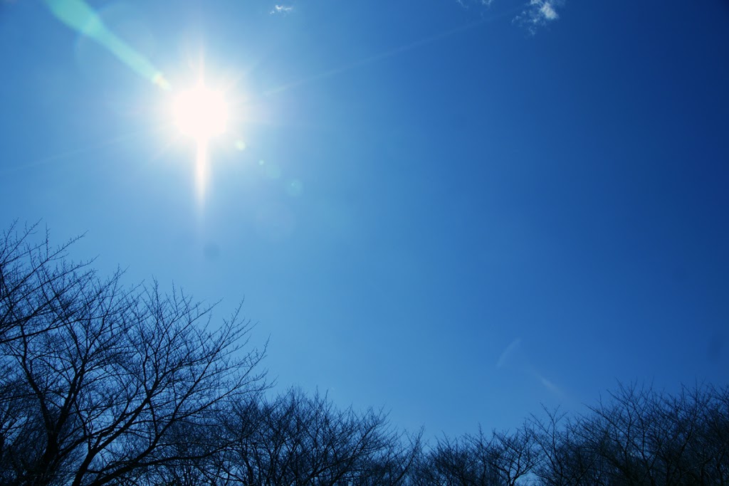 一日一善