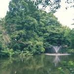 善福寺川緑地公園